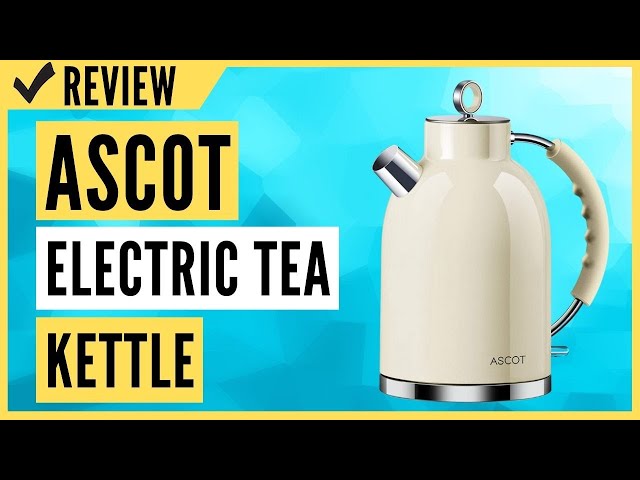 ASCOT Stainless Steel Electric Tea Kettle Review - YouTube