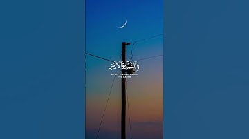 وإن ربك ليعلم ما تكن صدورهم وما يعلنون | القارئ رعد الكردي #quran #اكسبلور #راحة_نفسية #قران