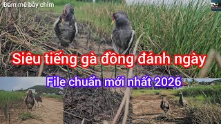 The Ultimate 2026 Daylight Moorhen Call - High-Quality MP3, No Background Noise. Tested and Appro...