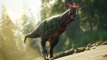 Pycno PvP | Path of Titans