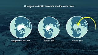 Saving Earth’s Sea Ice