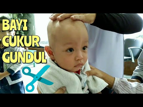 Bayi Lucu Cukur Gundul Ekspresi Lucu Baby Rex Potong 