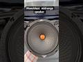 #Monoblastmidrangespeaker #shortvideo Monoblast midrange speaker