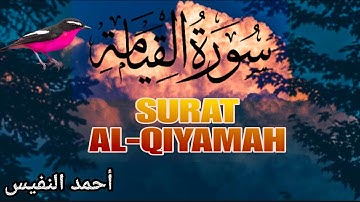 سورة القيامة كاملة💙| #مكتوبة 📝 بصوت هادئ ومميز القارئ أحمد النفيس SURAT AL-QIYAMAH FULL 🎧☺