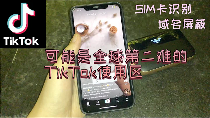 你只能用抖音不能用TikTok？！見識了「雙屏蔽」的網路隔離騷操作 震驚了我 - 天天要聞