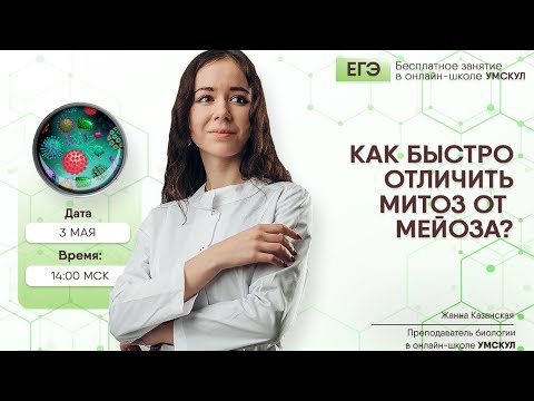 Как отличить за 5 секунд митоз от мейоза? | Биология ЕГЭ | Умскул