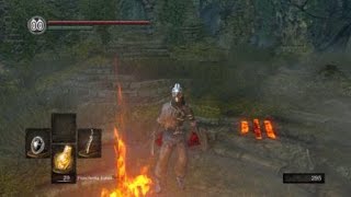 Come iniziare Dark Souls con 20 fiaschette Estus (how to start with 20 Estus flasks)