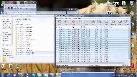 Sims 2 How To Install Custom Content