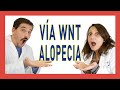 🟠 IMPORTANTE si tienes ALOPECIA. Recuperar PELO con la Vía WNT-BETACATENINA