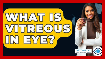 What Is Vitreous In Eye? - Optometry Knowledge Base