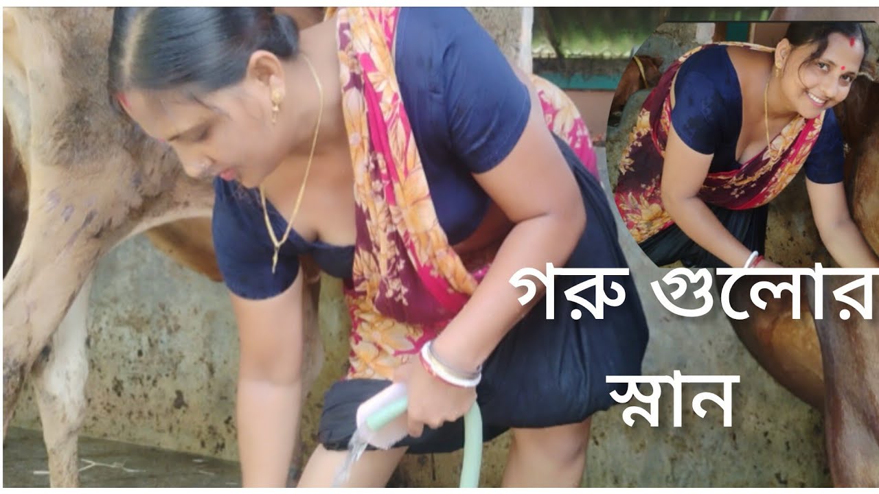 আজ গরুদের স্নান করানো হলো। Cows Bath irth women Daily Routine 🐄♥️