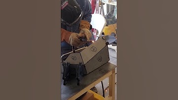 Custom T1N Sprinter Bumper #shorts