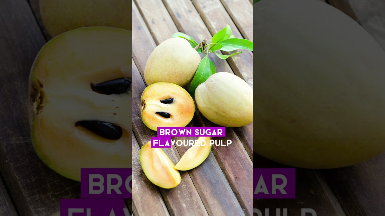 Sweet secrets of the sapodilla, also known as chikoo 