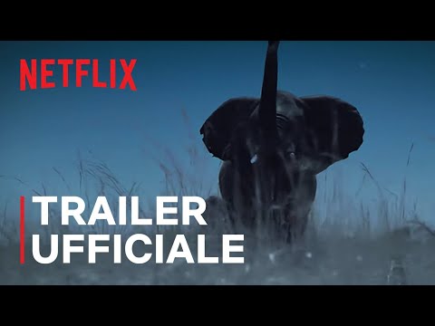 Notte sul pianeta Terra | Trailer | Netflix Italia