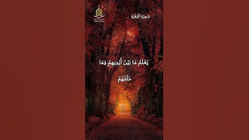 #تلاوة_خاشعة #ارح_سمعك #القرآن_الكريم #اسلام_صبحى