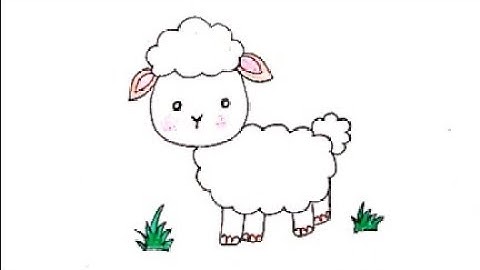 How to draw a sheep 🐑 step by step 