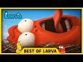 LARVA | BEST OF LARVA | Funny Cartoons for Kids | Cartoons For Children | LARVA 2017 WEEK 21