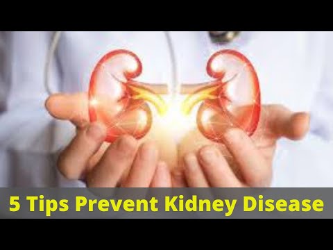 5 Tips On How To Prevent Kidney Disease Naturally | How To Improve Kidney Function Naturally