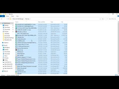 Demo for File Organizer in VBA