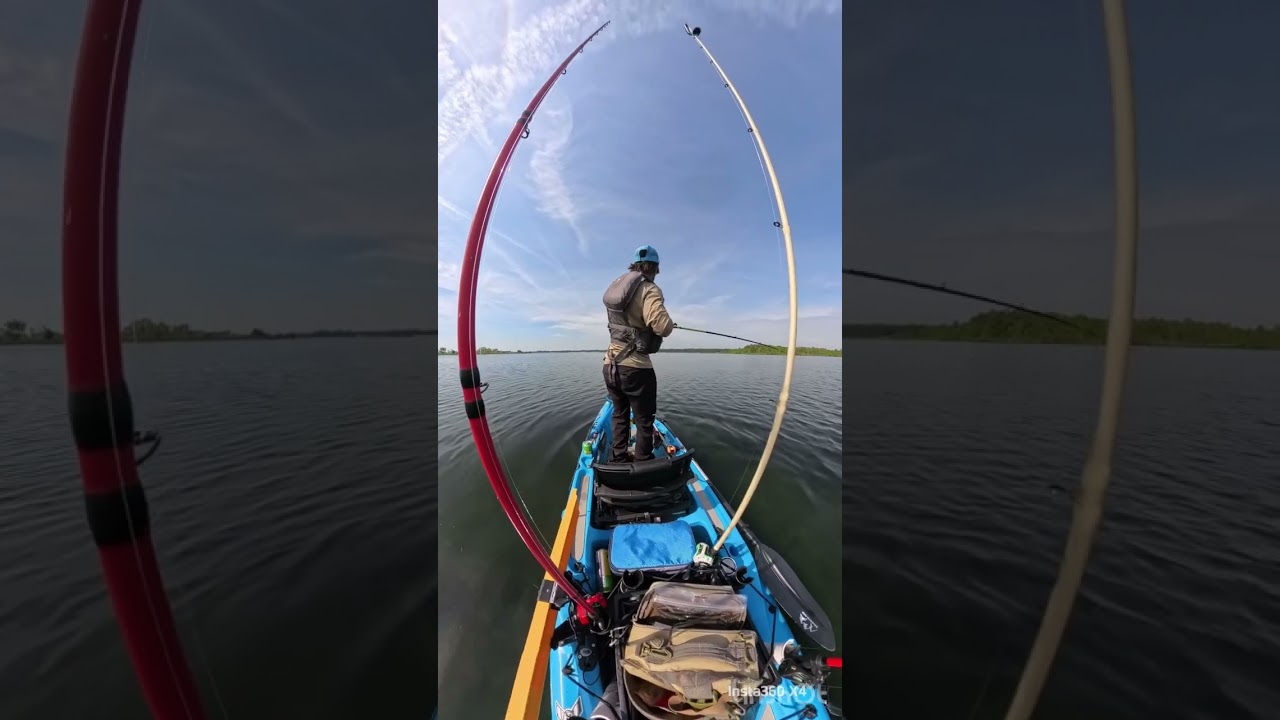 Bass Fishing Lake Moultrie SC