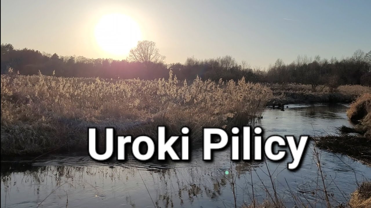 Gdzie natura gra pierwsze skrzypce. Pierwszy wiosenny dzień. #spring #nature #river #kayak 