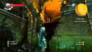 The Witcher 3: Wild Hunt_broken climbing glitch