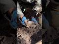 What inside the chest ?? Treasure hunting #treasurehunting #treasurehunt #metaldetecting