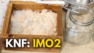 How to Make IMO2 | Korean Natural Farming Secrets screenshot 5