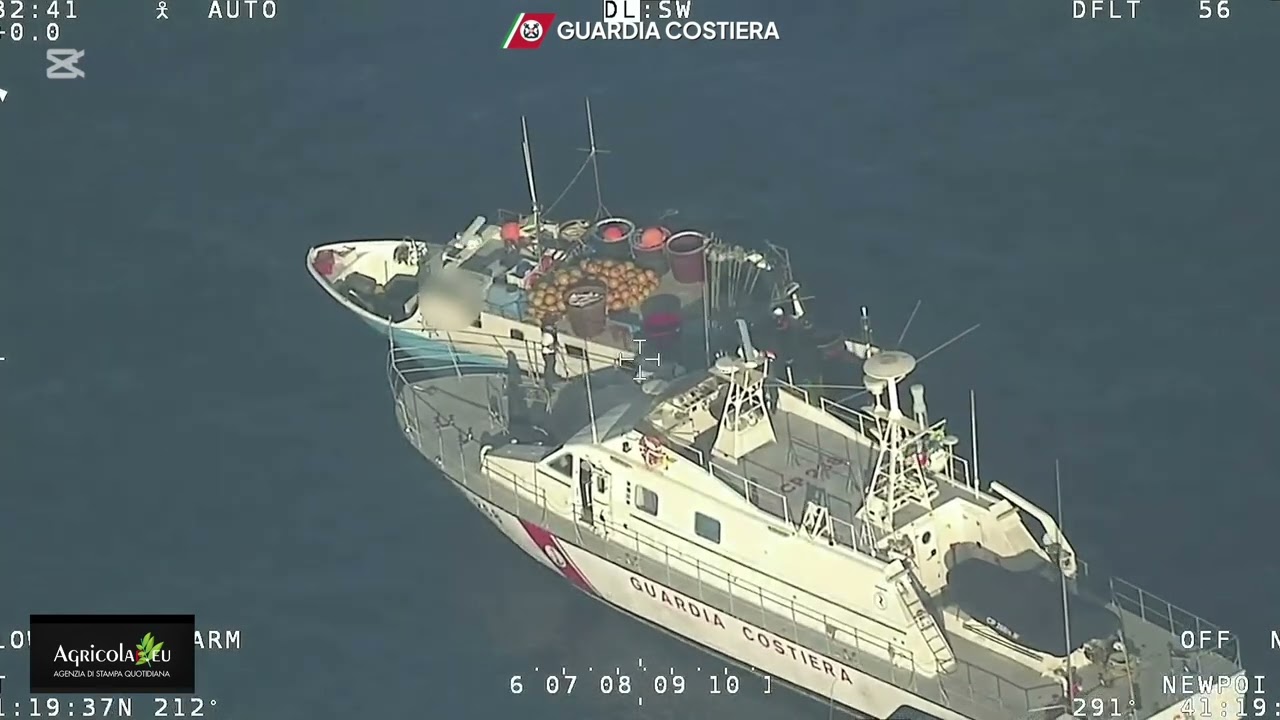 Береговая охрана | Fish_Net | Инспекции цепочки поставок рыбы в преддверии Рождества