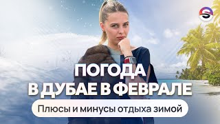 Плюсы и минусы отдыха в Дубае зимой. Какая погода в феврале, стоит ли ехать