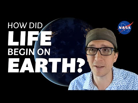 How Did Life Begin on Earth? We Asked a NASA Expert