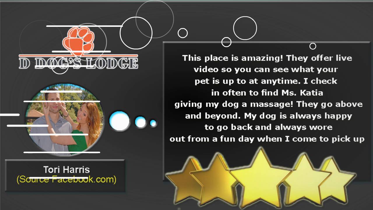 D Dog's Lodge REVIEWS Pet Hotel Maitland FL YouTube