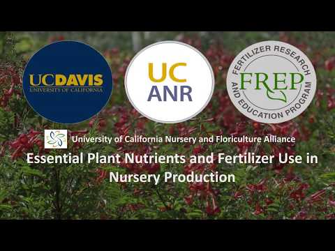 Essential Plant Nutrients and Fertilization in Nursery Production