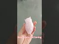 Rose Quartz Owl Carving – Hand Carved Natural Stone #arcaneskull #crystals #crystalsdotcom#owl