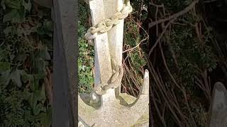 Pure Craftsmanship. Killed By A Explosion, 7 Souls Lost