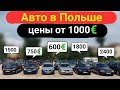 Авто в Польше по 1000 евро, цены с растаможкой.