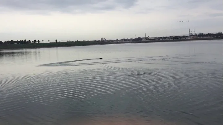 SKYTECH H100 RC Boat from Gearbest first running