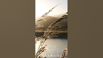 تلاوة خاشعة وهادئه للقرآن الكريم آيات من سورة الانشقاق #القرآن_الكريم #تلاوة_هادئة #تلاوة_خاشعة