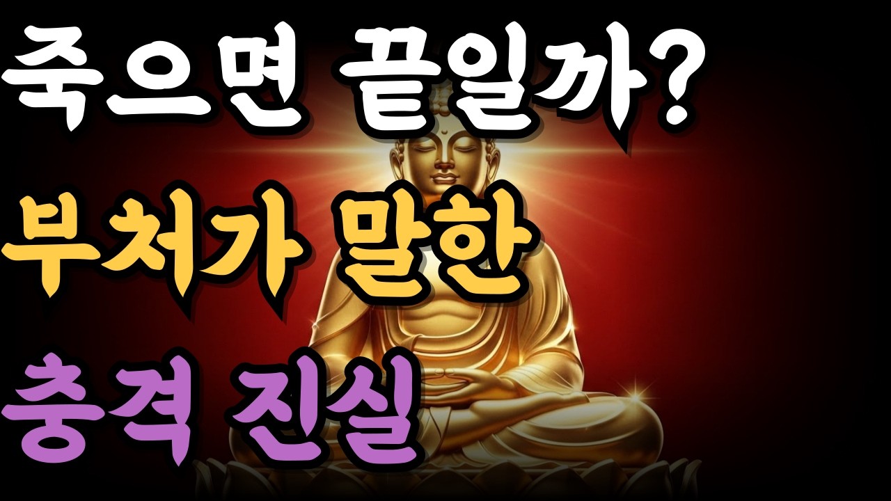 죽으면 끝일까 부처가 말한 충격 진실