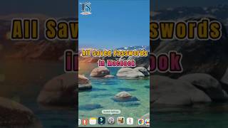 Where to Find All Saved Passwords in MacBook 🔐 | MacBook Tips #shortsfeed