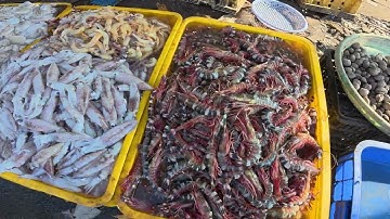 Cảng Cá Trần Đề Sóc Trăng | Rất nhiều hải sản tươi ngon #langthangvungque68