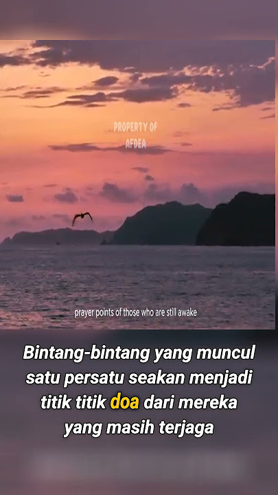 Langit Malam: Suatu Tempat Perlindungan Bintang dan Kesendirian