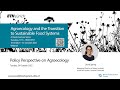 Policy perspective agroecology and the transition to sustainable food systems