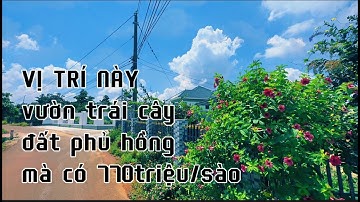 thở oxy ! chị thuý không gồng nỗi lãi hạ giá bán vườn trái cây cực đẹp ở bà rịa  vũng tàu