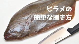 【初心者向け】ヒラメの簡単なさばき方【５枚おろし】Filleting Fish