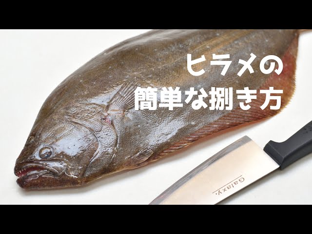 ヒラメの簡単なさばき方 Litetube ヒラメの簡単なさばき方 Litetube