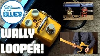 Hotone Wally+ - Pedal on ModularGrid