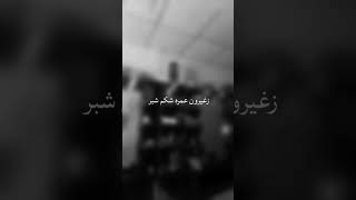 حيدر العابدي زغيرون عمره شكم شبر ستوريات قصيره واتساب