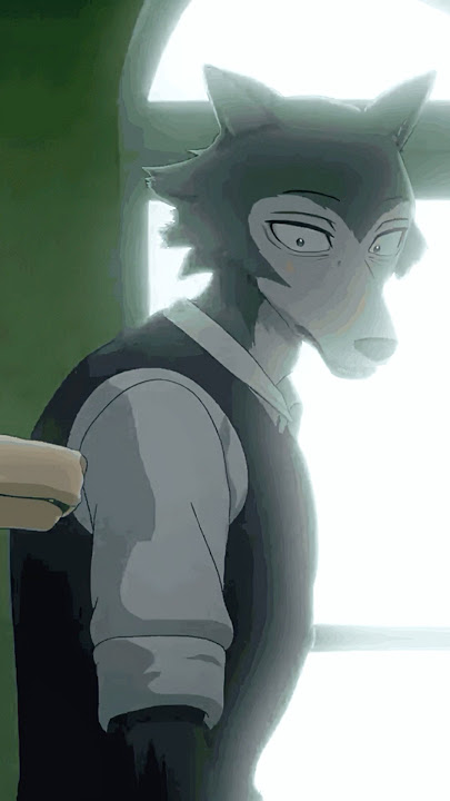 🔥Legoshi’s crush🐺😨 #anime #furry #shorts