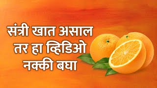 संत्री खाण्याचे फायदे || Benefits of Orange in Marathi || संत्रा खाने के फायदे | Punam special